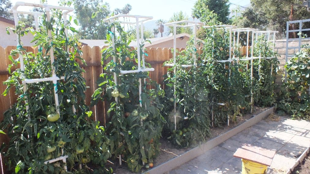 Right side photo Overall629002.jpg